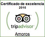 trip advisor